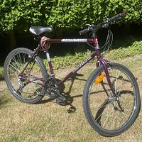 Full view of metallic purple Triumph Encounter bicycle on grass.