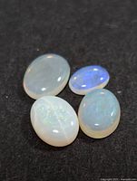 Four oval cabochon genuine opal gemstones displayed on black background showing different color play and iridescence