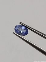 Front angled close-up photo of a blue-violet oval cut tanzanite gemstone held by tweezers focus on clarity and facets