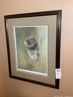 Framed koala print hanging on wall, large wooden frame, double matting
