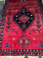 Full view of rug showing central medallion and surrounding patterns