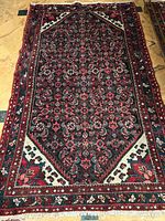 Full view of the entire rug laid flat showing overall pattern, border and fringe