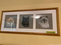 Front view of framed artwork showing three cat portraits