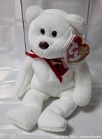 Full view of white Valentino Ty Beanie Baby teddy bear sitting inside a clear protective display case, showing its front and side with the red ribbon and Ty heart tag visible on ear.