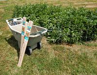 Overall lot with cart, stakes, cages