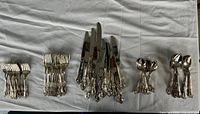 Top view of entire silverware set showing forks, knives, various spoons arranged on cloth.