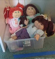 Three dolls inside clear bin showing outfits and hair colors