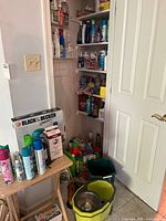 Closet with shelves full of cleaning products, TV tray with aerosol cans, mop bucket on floor
