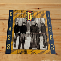 Front cover of Glass Tiger The Thin Red Line vinyl record showing band photo and tiger stripe pattern border.