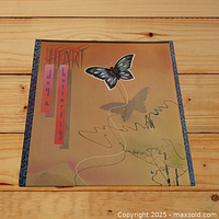 Front cover of Heart Dog & Butterfly vinyl LP showing butterfly and text on stylized earth-tone background