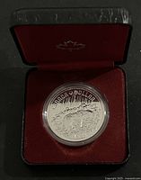 Silver dollar coin in a red velvet-lined black presentation case, showing the obverse side with Queen Elizabeth II.