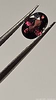 Close-up image of an oval cut natural sapphire held by tweezers, showing deep pink, purple, and orange shades with good clarity and facets visible.
