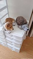 Two dog-themed animal figurines on top of white plastic drawers; one is a realistic sleeping dog, the other a boot scraper with furry brush back.