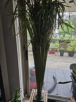 Photo of a tall artificial bamboo plant with numerous thin bamboo stalks and green leaves in a clear glass vase, standing near a glass door.