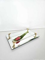 Top view of mirrored tray with Lucite rails and brass caps