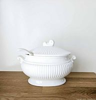 tureen assembled with lid and ladle