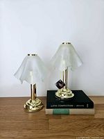 Both lamps, one on books, full view showing shades and bases