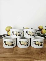 Five Royal Doulton Miramont ramekins stacked showing fruit pattern