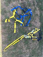 Two full safety harnesses laid out on grass showing full structure and harness rings.