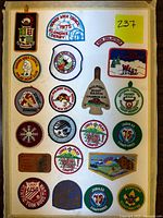 Overhead view showing approximately 22 Boy Scouts patches arranged on a board