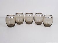 Front and slightly top angle view of 5 vintage smoked roly poly glasses with silver rims arranged in a row.