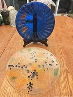 Both fused glass plates and stand overview