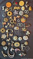 All brooches and pins laid out together showing variety and condition