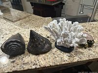 Sea themed decor including white artificial coral pieces and assorted decorative seashell replicas in various sizes and colors on kitchen counter.