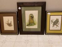 All three framed prints together