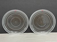 Two clear glass plates with concentric raised dot textured pattern displayed side by side showing details and size.