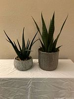 Two artificial plants standing side-by-side on a white cloth surface, one in a silver textured pot and the other in a white ceramic pot.