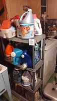 Plastic shelving unit holding approximately 12 assorted cleaning and laundry supply bottles of various brands and types in a basement or laundry area.