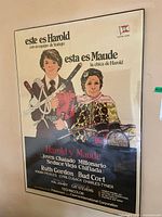 Full front view of sealed Spanish-language Harold and Maude poster in plastic film