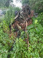 Boat trailer and scrap metal parts overgrown with vegetation showing rust and wear.