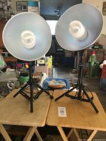 Two photography lights with silver reflector bowls on black tripods, each with a white spiral bulb.