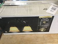 Photo of the boxed bathroom light bar showing the brand Hampton Bay and charcoal finish with opal glass shades.