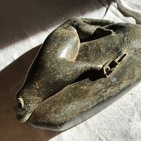 Top view of Inuit soapstone seal carving showing body, flippers, surface wear