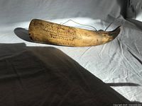 Side view of carved powder horn showing decoration and horn shape