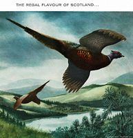 Close-up of artwork section showing pheasants in flight over landscape