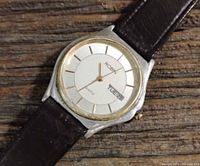 Front view of Robin quartz wristwatch showing dial, bezel and leather strap