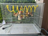 Front view of white wire bird cage with hanging colorful wooden and rattan toys attached to a spiral yellow plastic climbing tube inside the cage and wooden perch, all showing minor wear and some rust on perch.