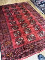 Full view of rug laid flat on wood floor showing overall pattern and borders