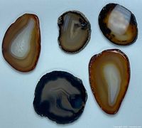 Group view of five agate slices showing size and colour variety