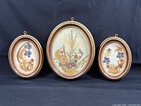 All three oval framed pressed flower artworks