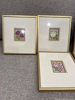 Three small gold framed floral art prints with cream mats, with detailed botanical illustrations in various colors
