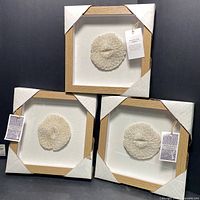 Three 8x8 inch shadow boxes with white coral in natural wood frames stacked together with corner protectors on frames.