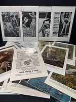 Sets of vintage pin-up ads and color nature/wildlife prints laid out overlapping on a dark surface.