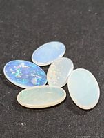 Five genuine Australian opal cabochons displayed on a black background. One has vibrant play of blue and green colors, while the others range from milky white to translucent hues.