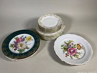 Overall view of all plates showing assortment of sizes and floral designs