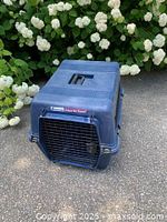Blue Petmate Deluxe Vari Kennel pet carrier placed outdoors on pavement with greenery background. Front metal door and handle visible.